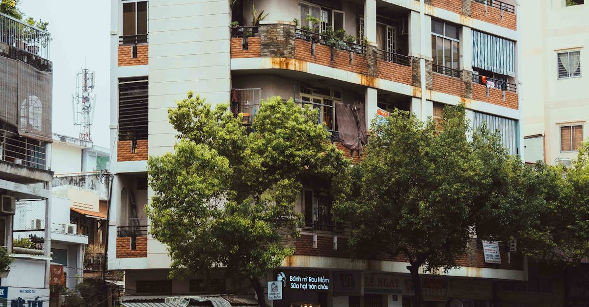 Guidelines for Installing a Toilet in a Small Bathroom  