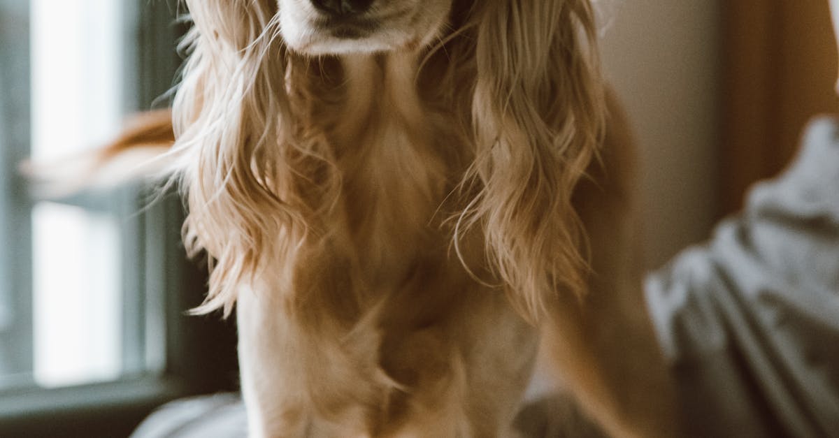 How long does it take to install a hot water cylinder?