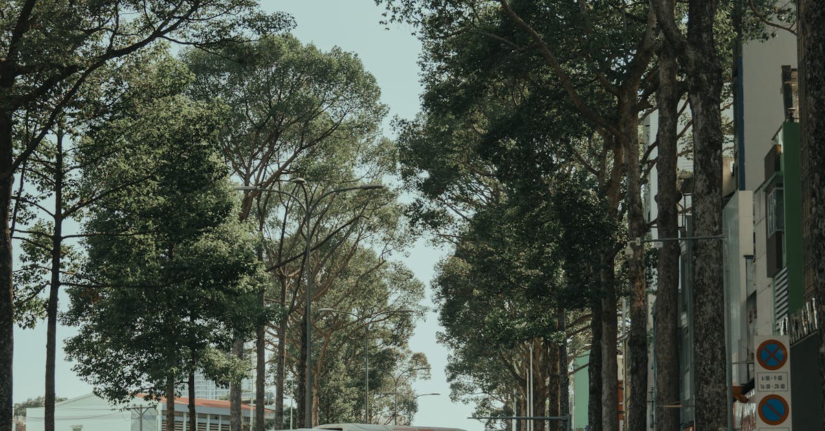 How many years does a toilet last?