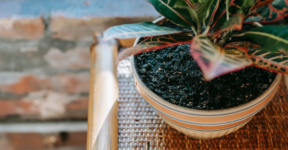 How often should a hot water cylinder be serviced?