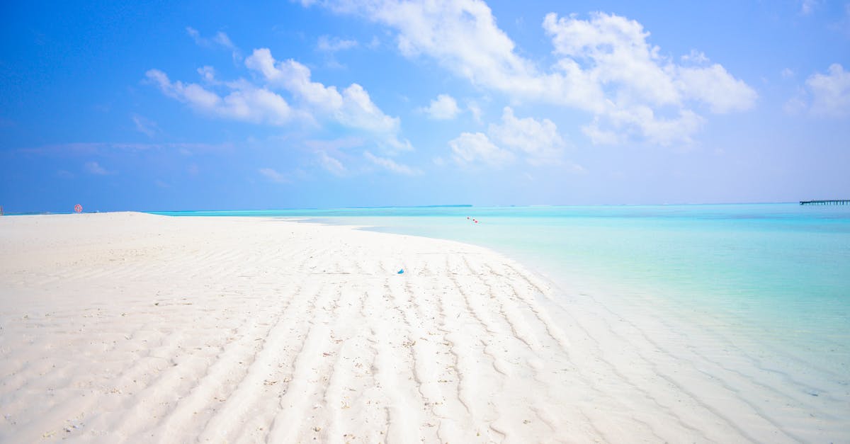 How often should drains be cleaned?