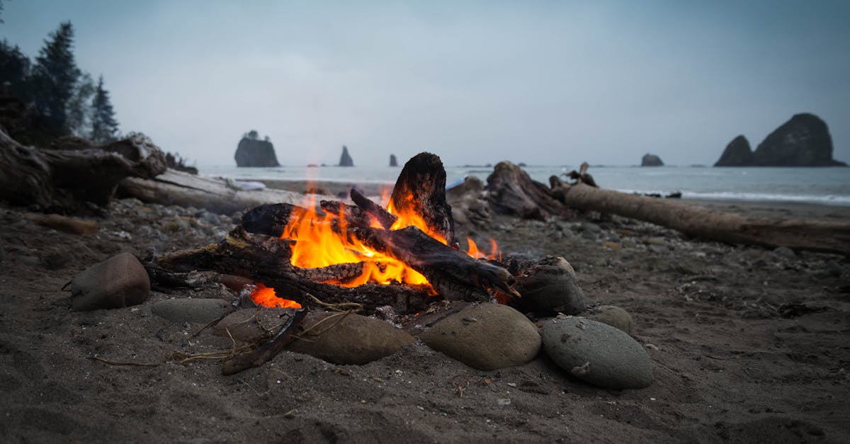 What do professionals use to clean drains?