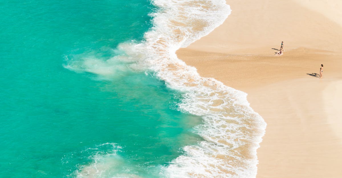 What is the best product to get rid of smelly drains?