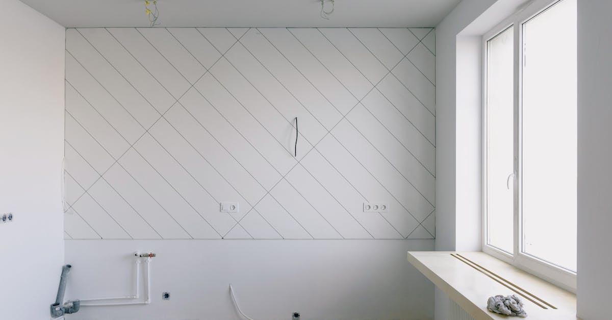 Who is responsible for tree roots in pipes?